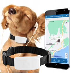 Obroża lokalizator GPS zwierząt psa elektroniczna klatka Android iOS www